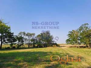 Salaš, na parceli od 690ari. Obradivo zemljište+turizam!